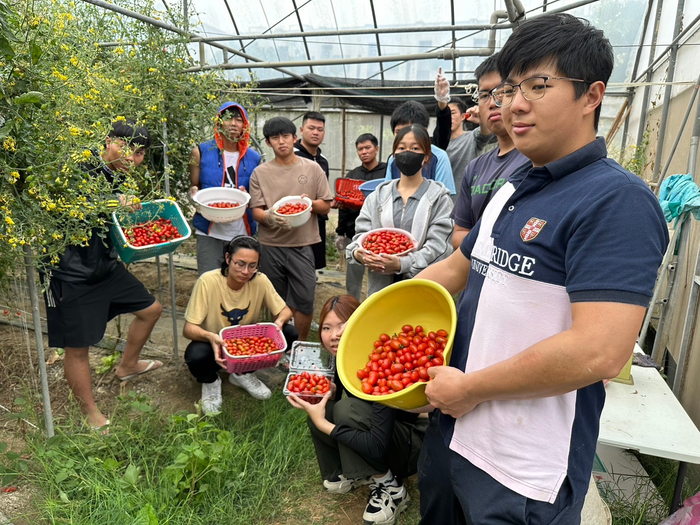 圖說：選修農場餐飲設計課程的學生到愛幸福農場採摘番茄，瞭解友善農法的種植方式及感受農夫的辛苦，體驗產地到餐桌的樂趣 (圖/遠東科技大學提供)